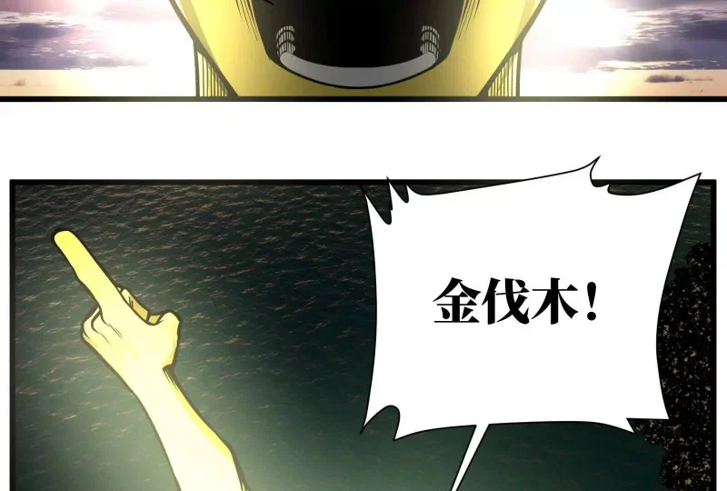 第219页