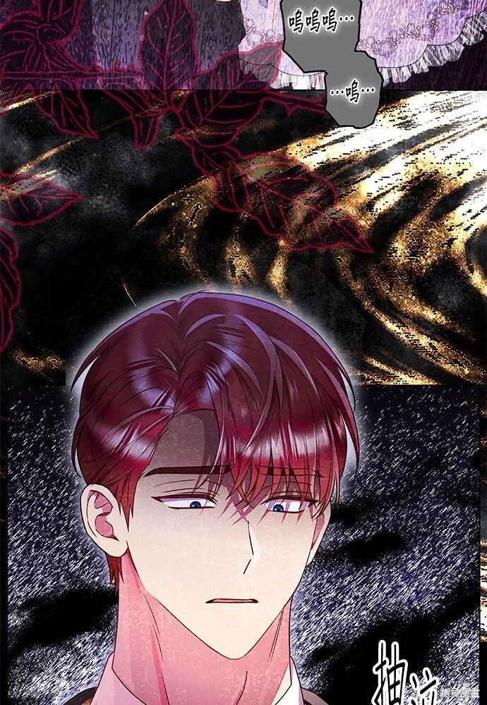 第243页