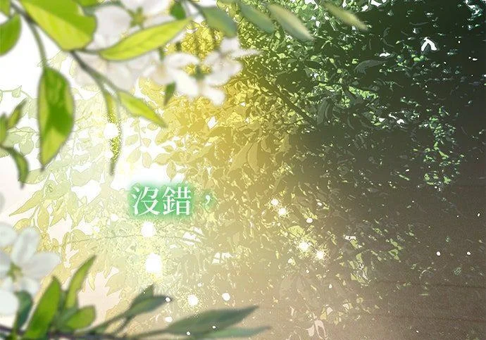 第237页