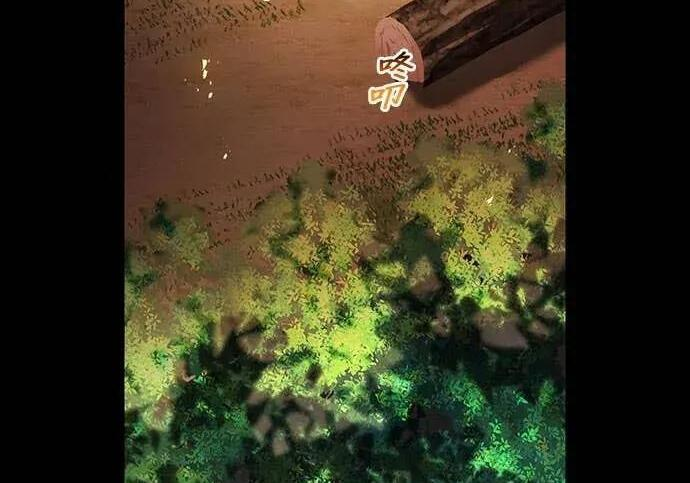 第258页