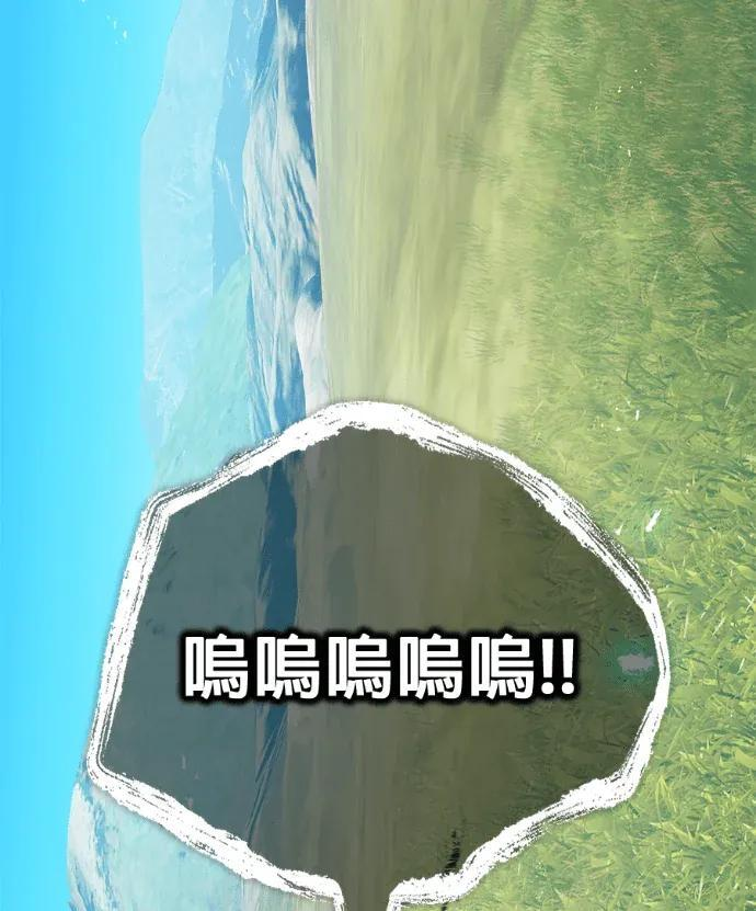 第441页