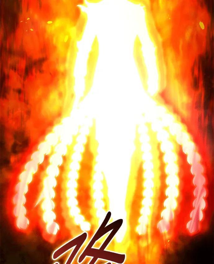 第516页