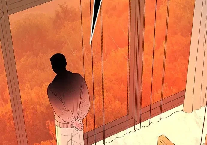 第231页