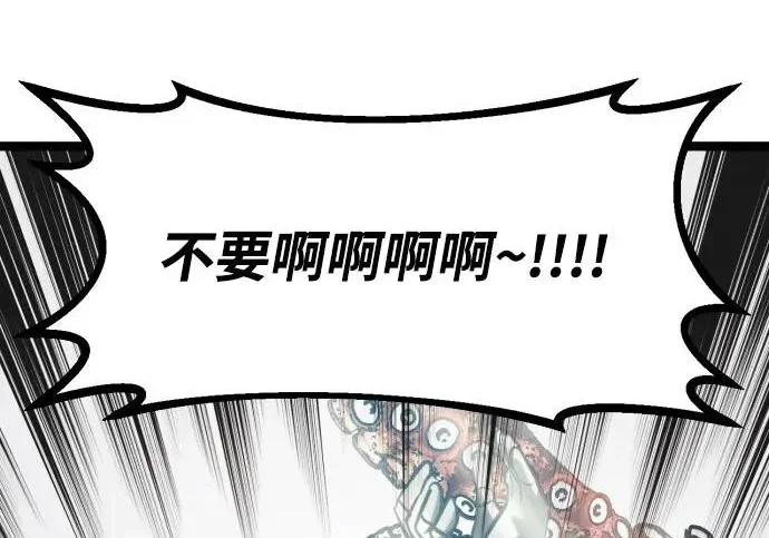 第255页