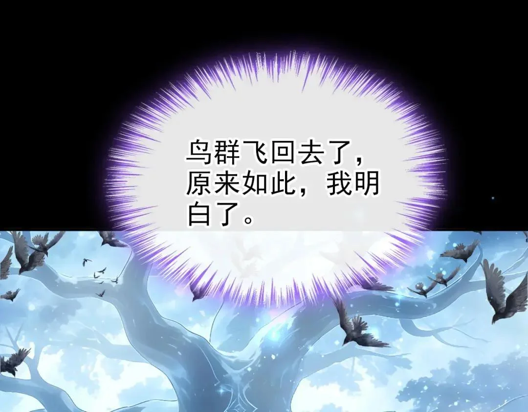 第216页