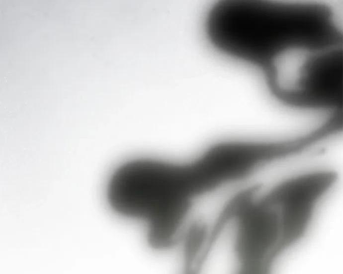 第396页