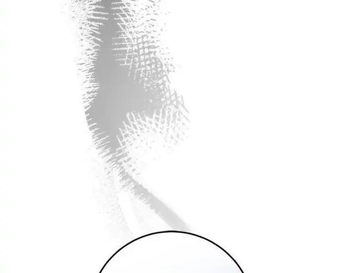 第291页