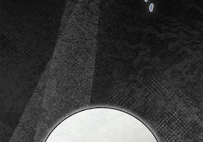 第1068页