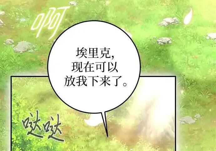 第246页