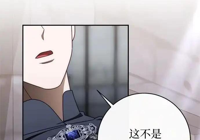 第219页