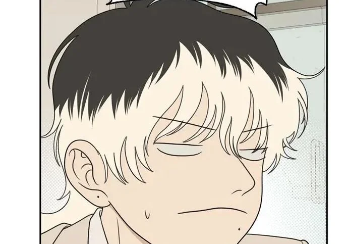 第435页
