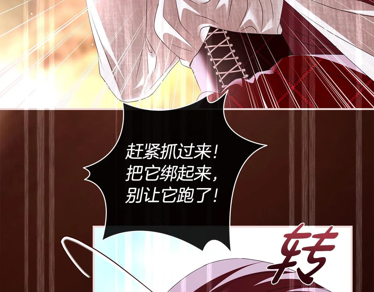 第246页