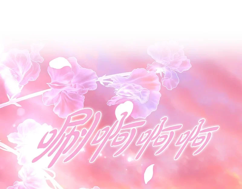 第504页