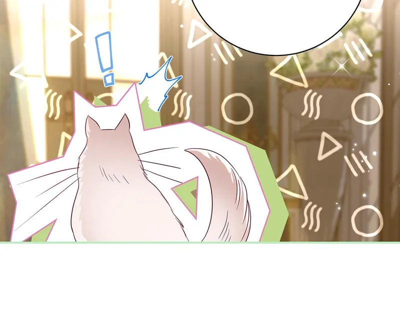 第414页