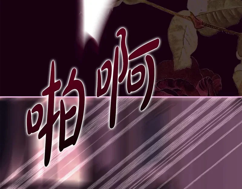 第384页
