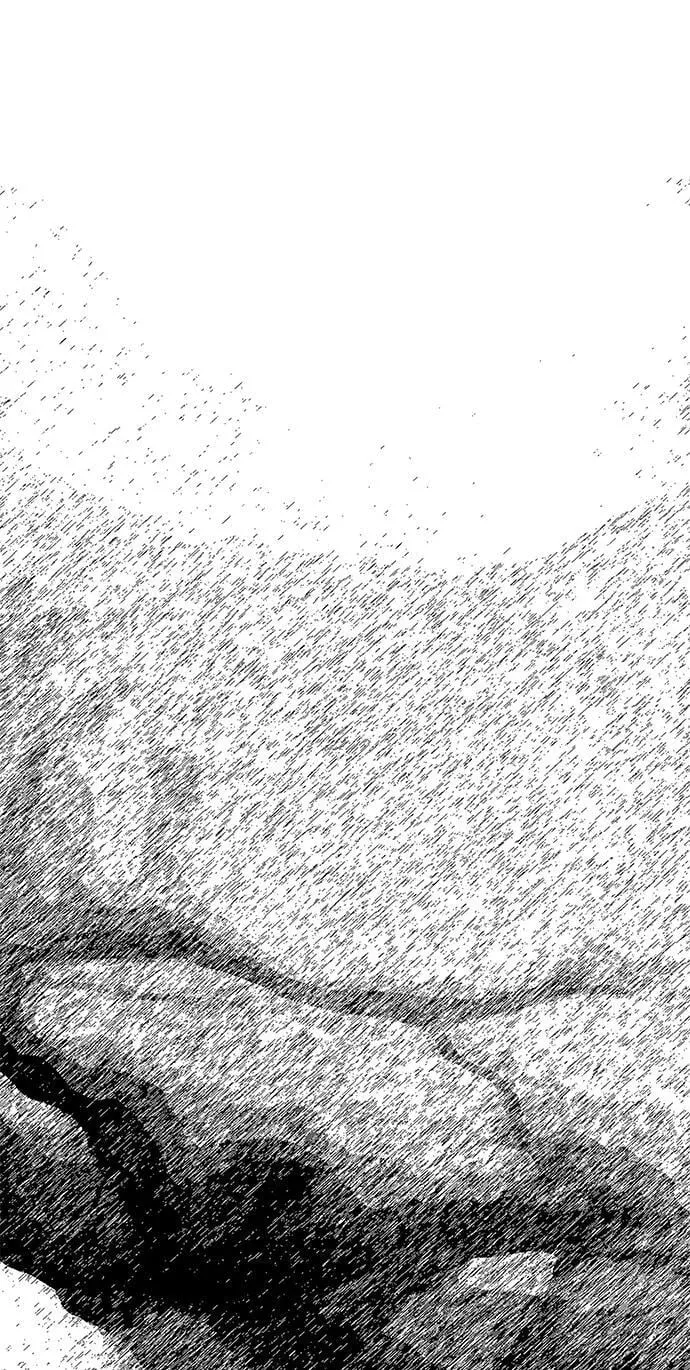 第246页