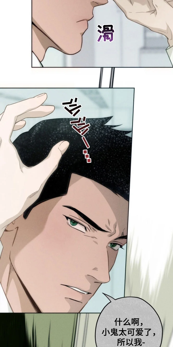 第207页