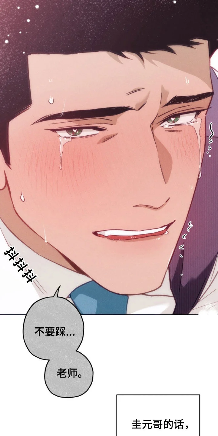 第237页