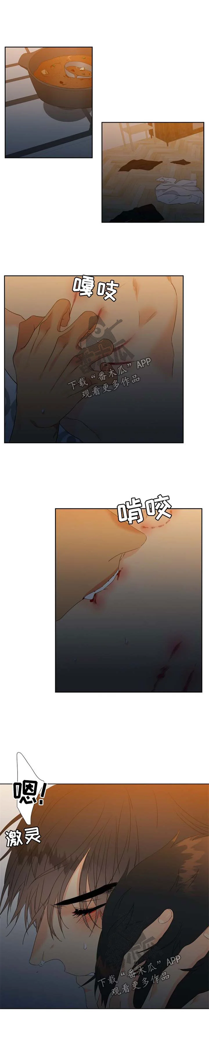 第0页