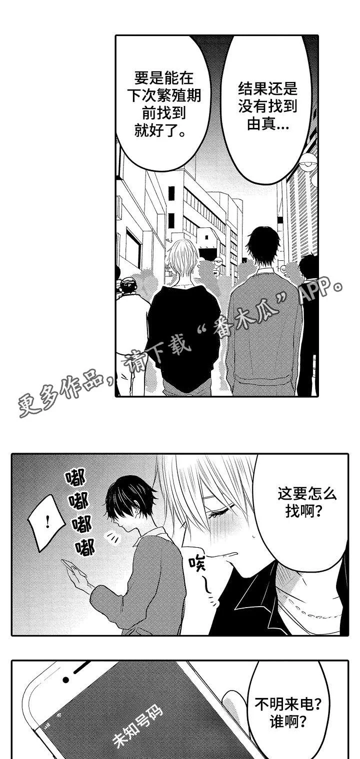 第0页
