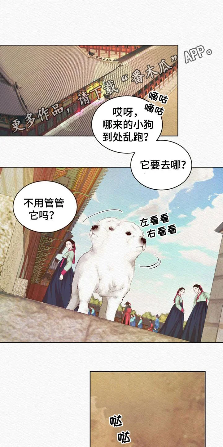 第0页
