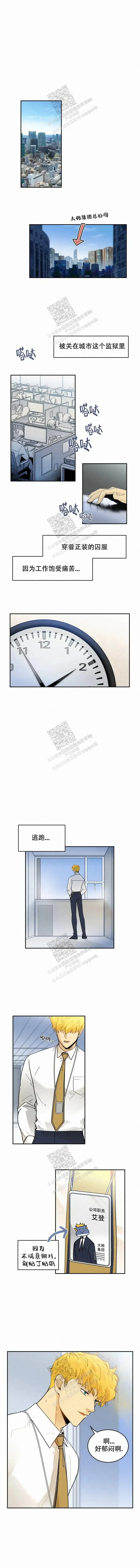 第0页
