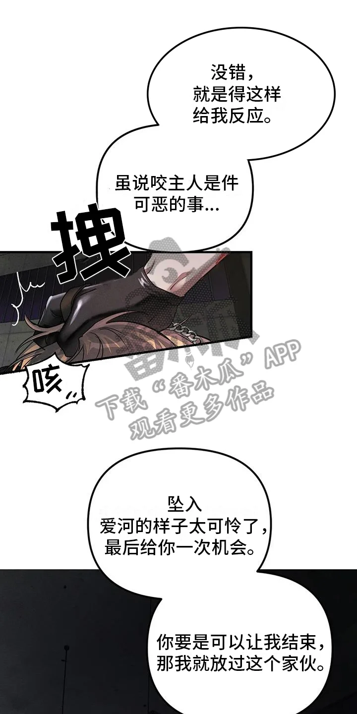 第0页
