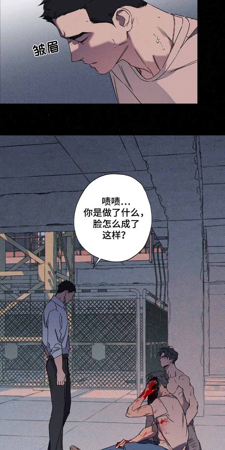 第54页