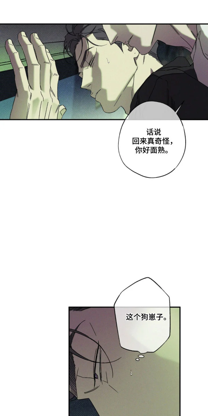 第81页