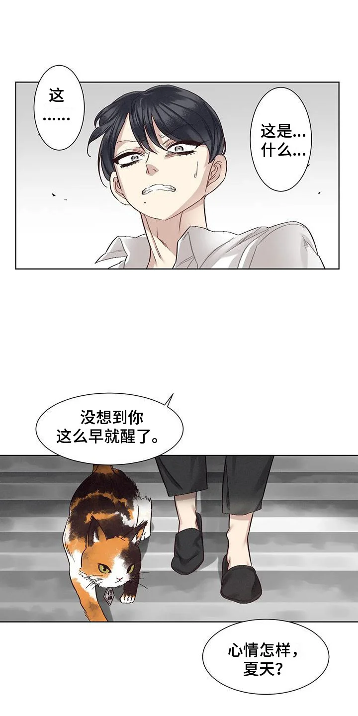 第0页