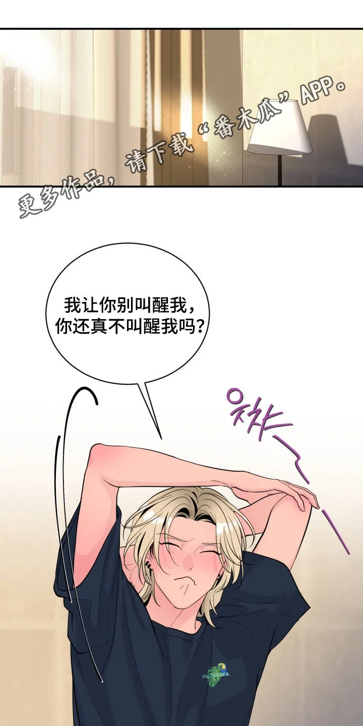 第0页
