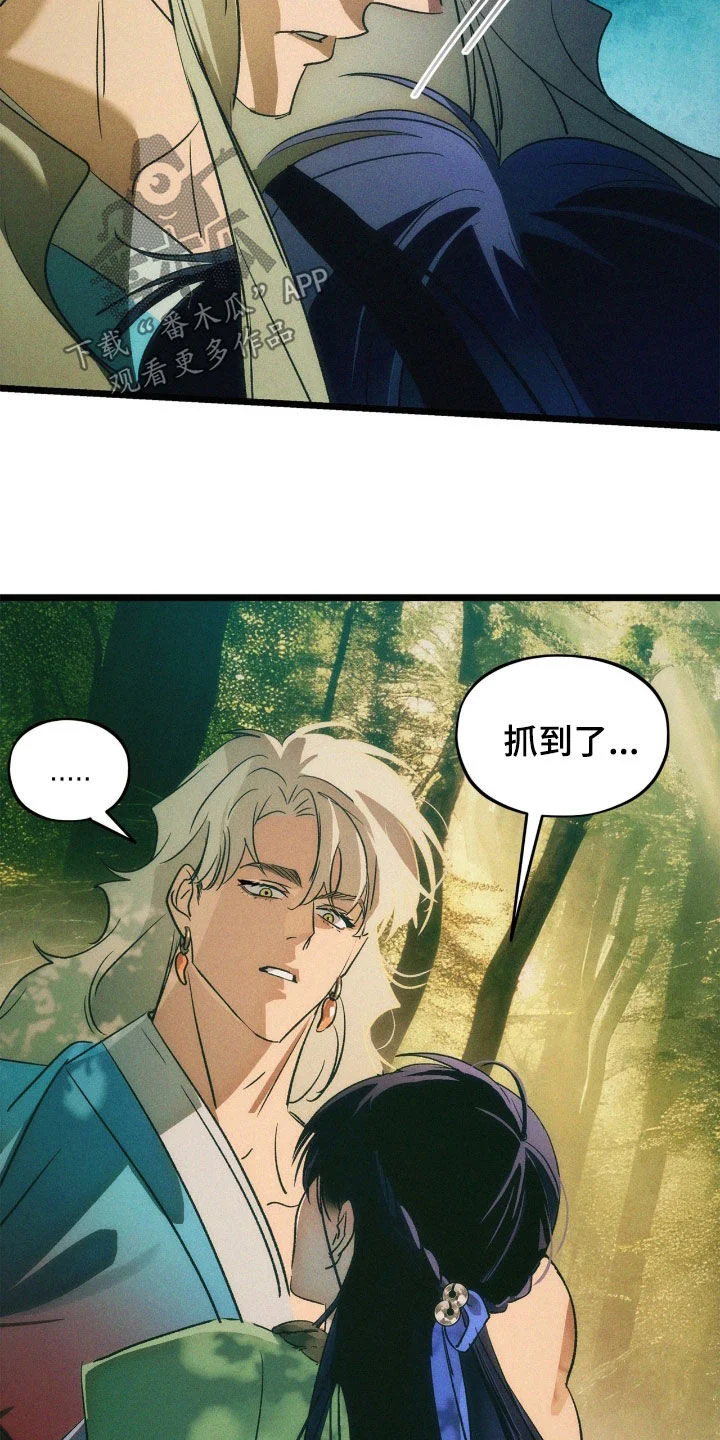 第117页