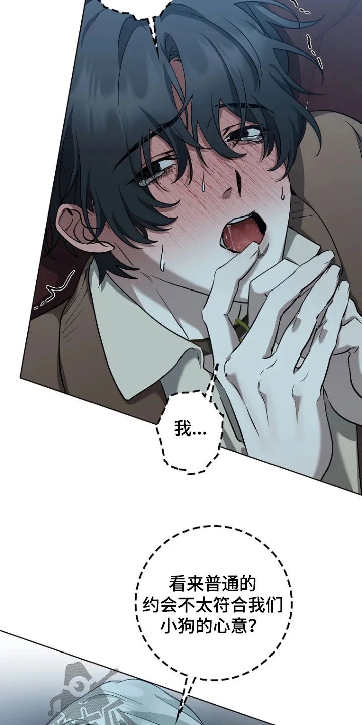 第51页