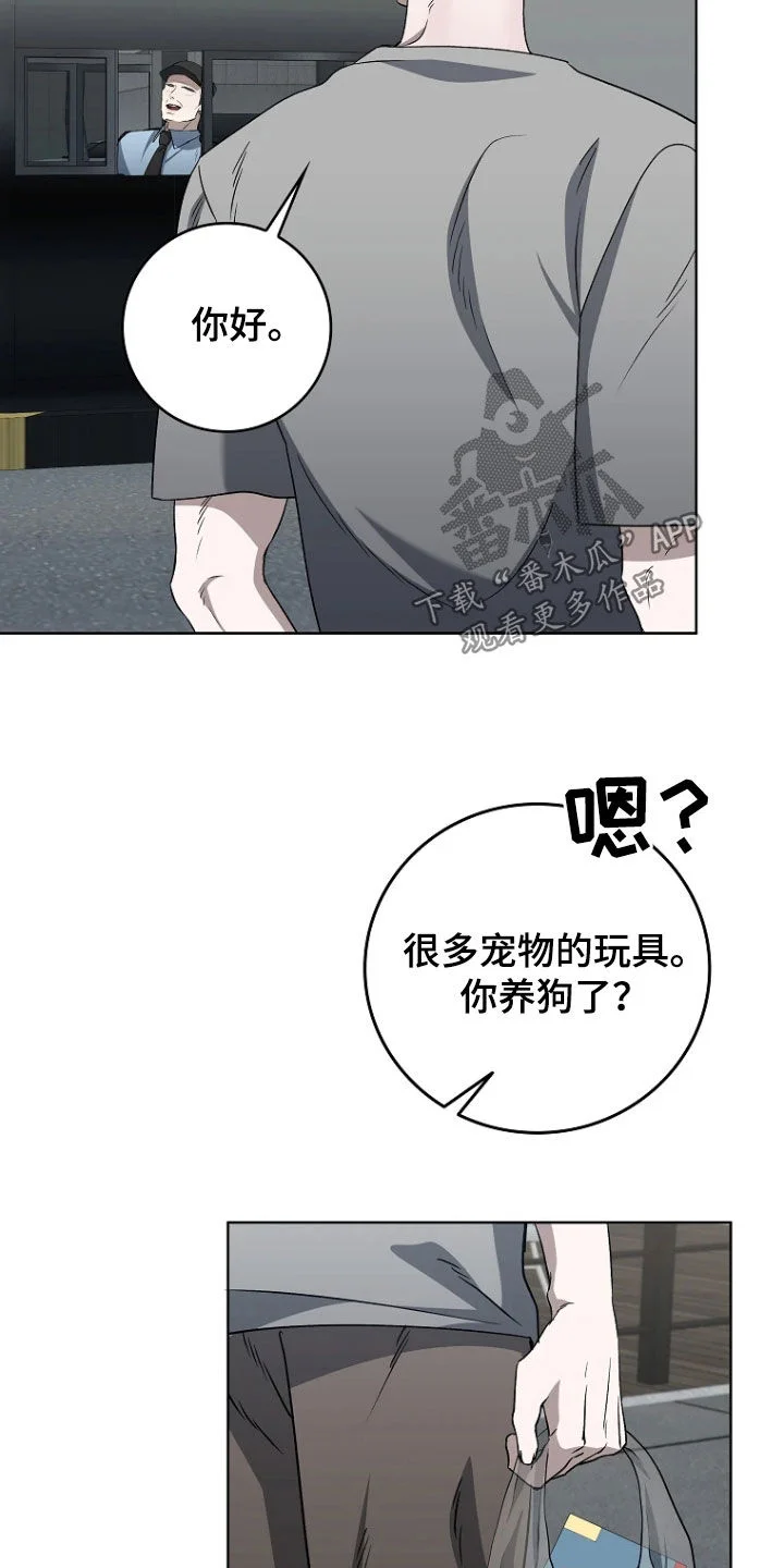 第63页