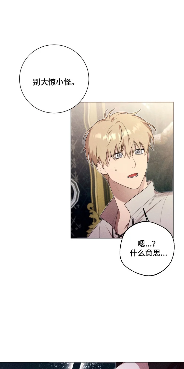 第0页