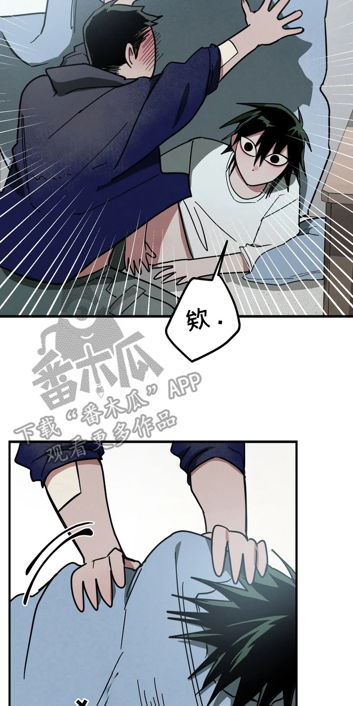 第51页