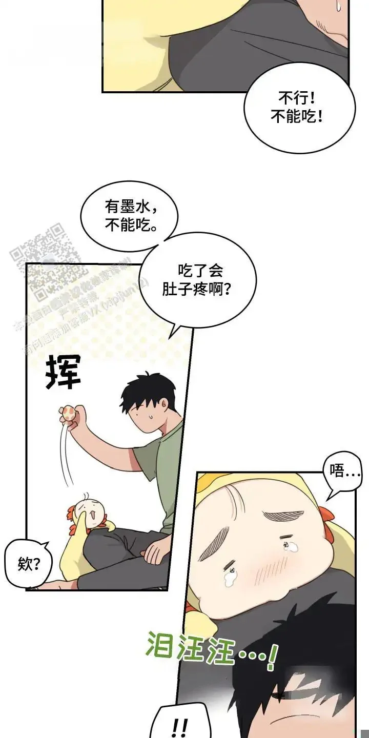 第51页