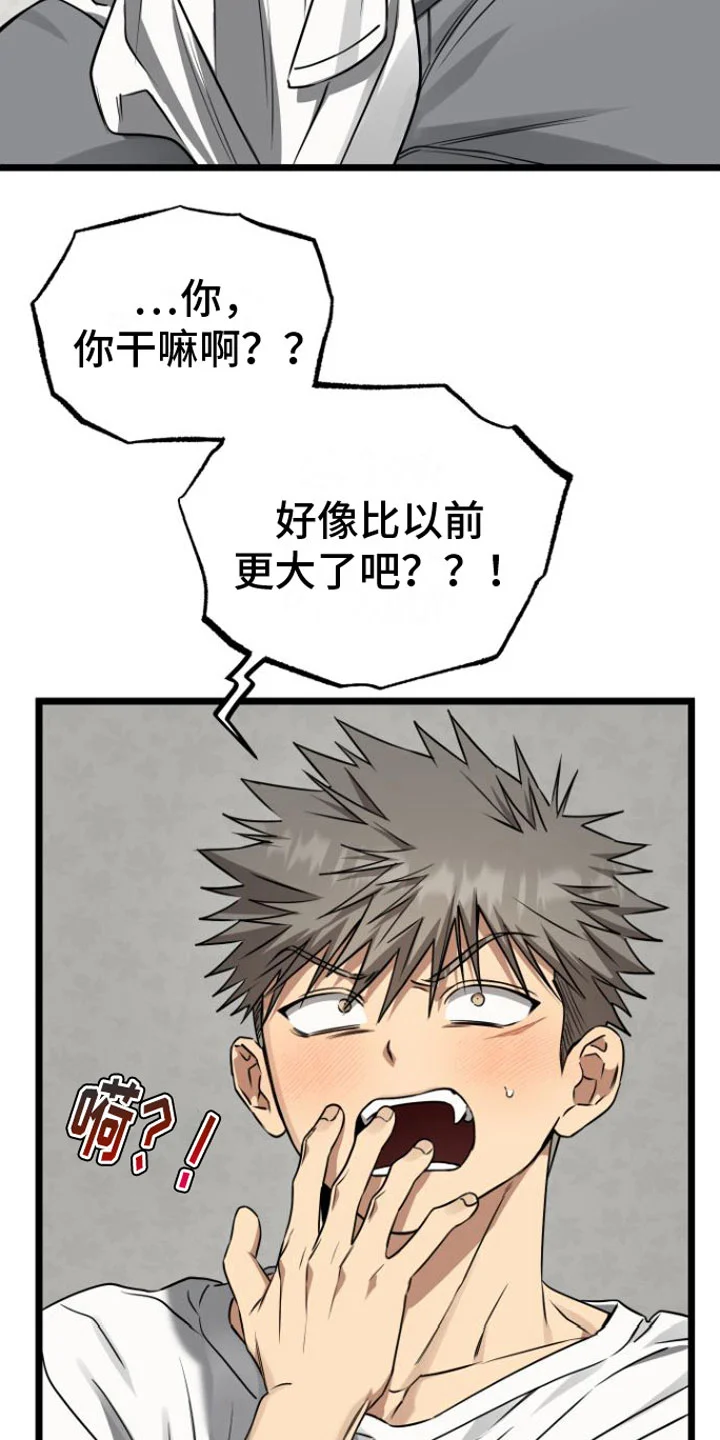 第81页