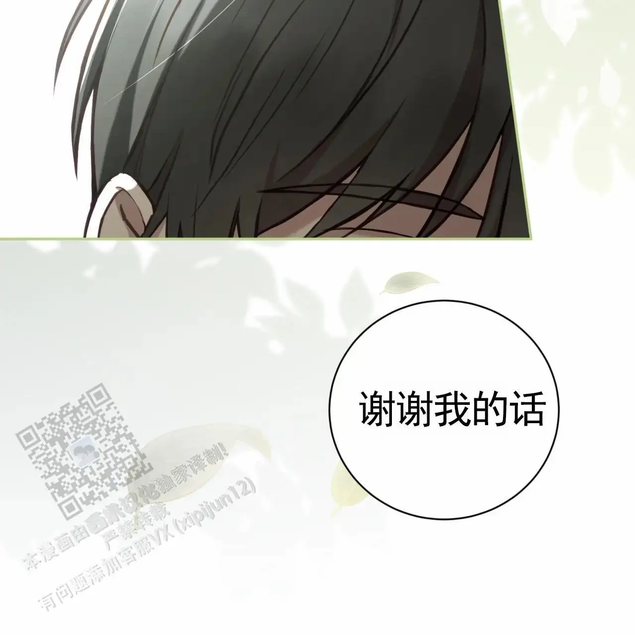 第204页