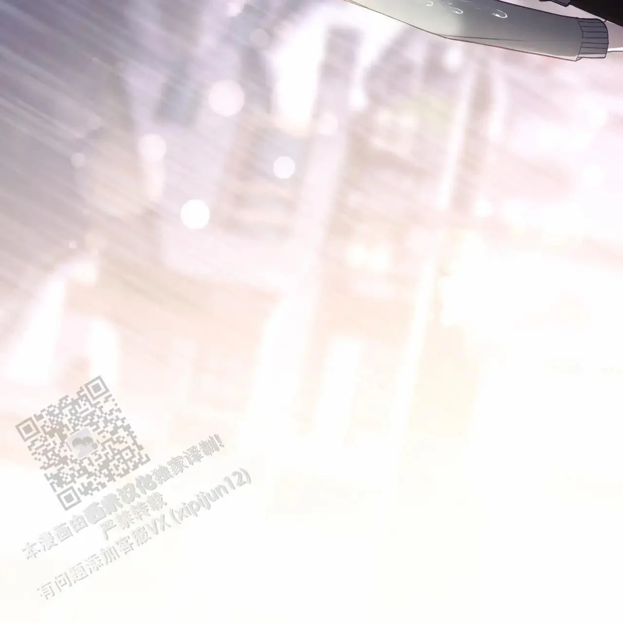 第204页