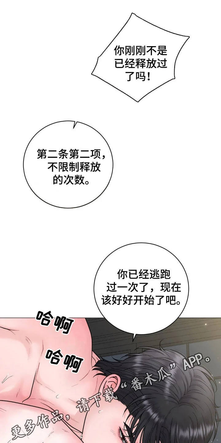 第0页