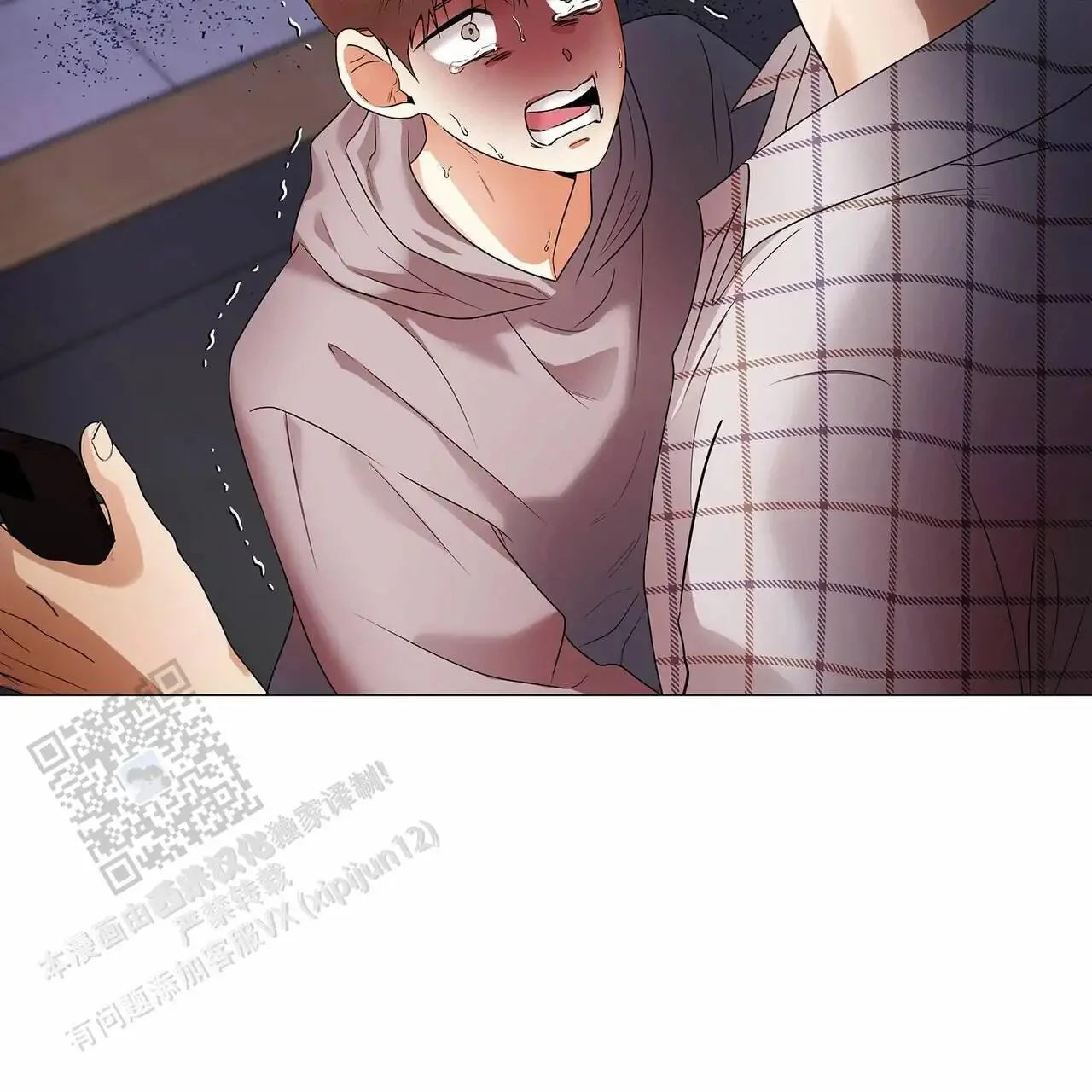 第195页
