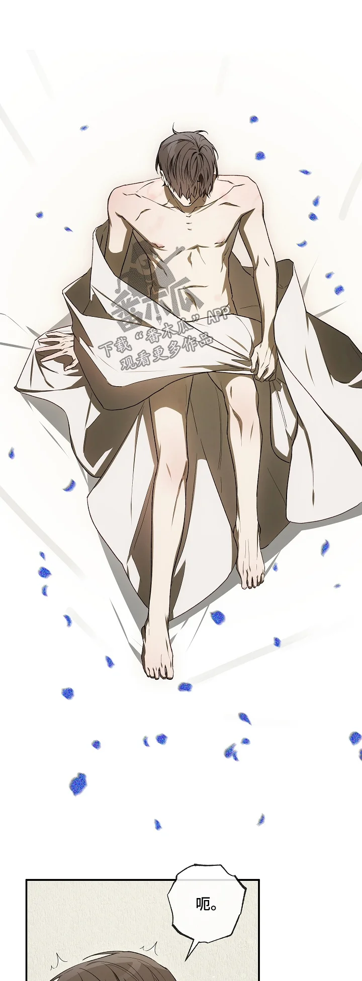 第0页