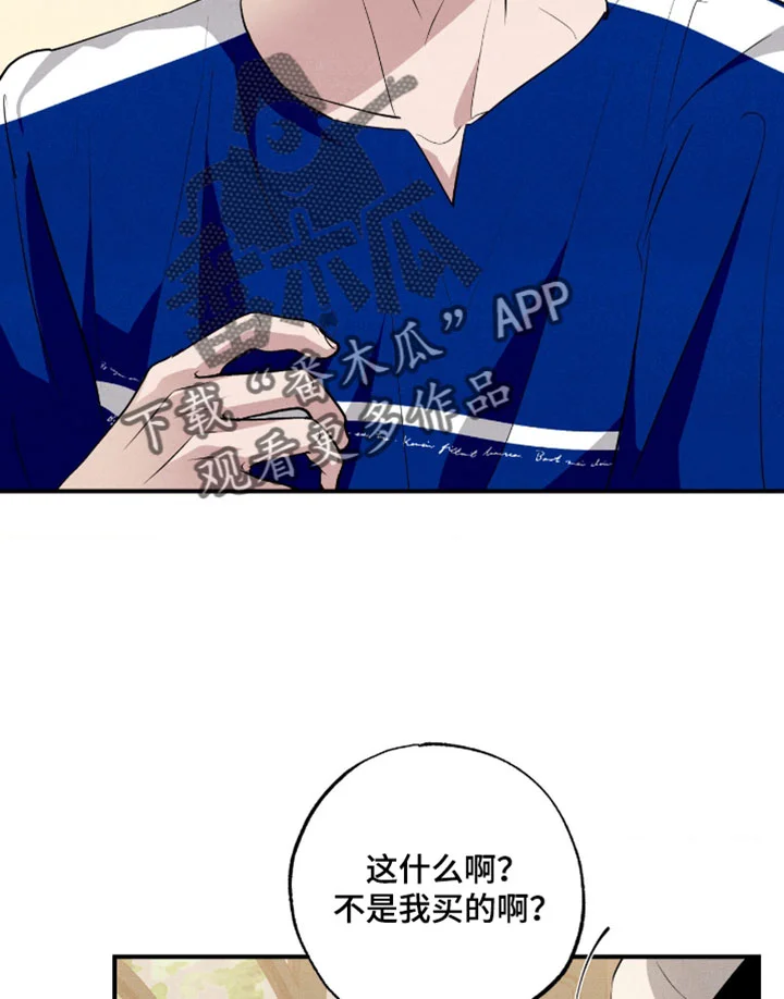 第219页