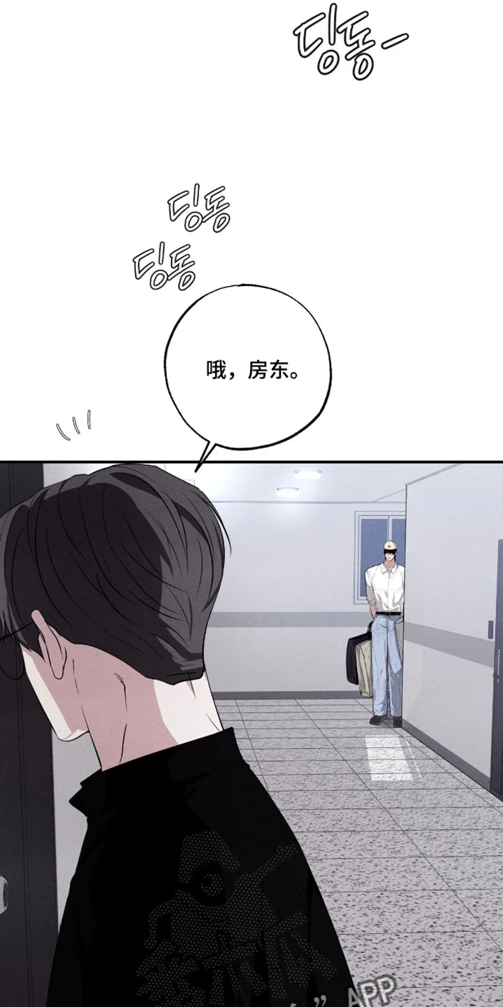 第246页