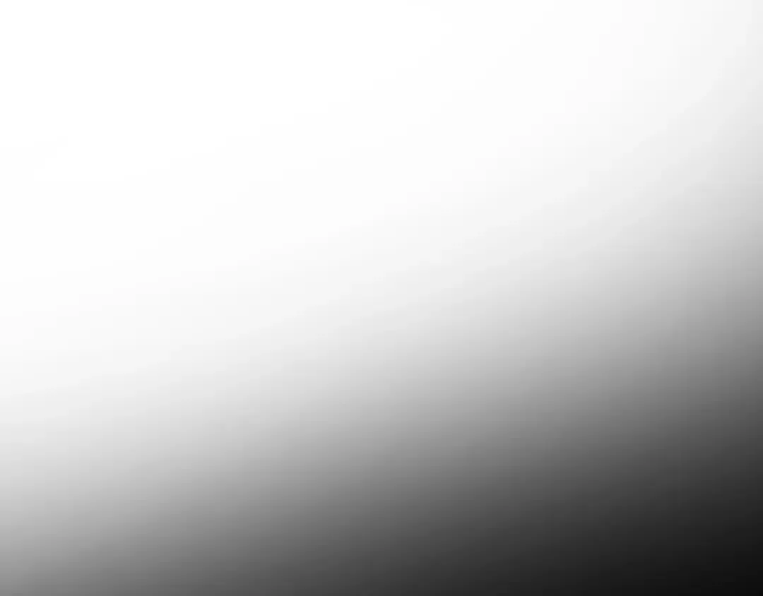 第231页