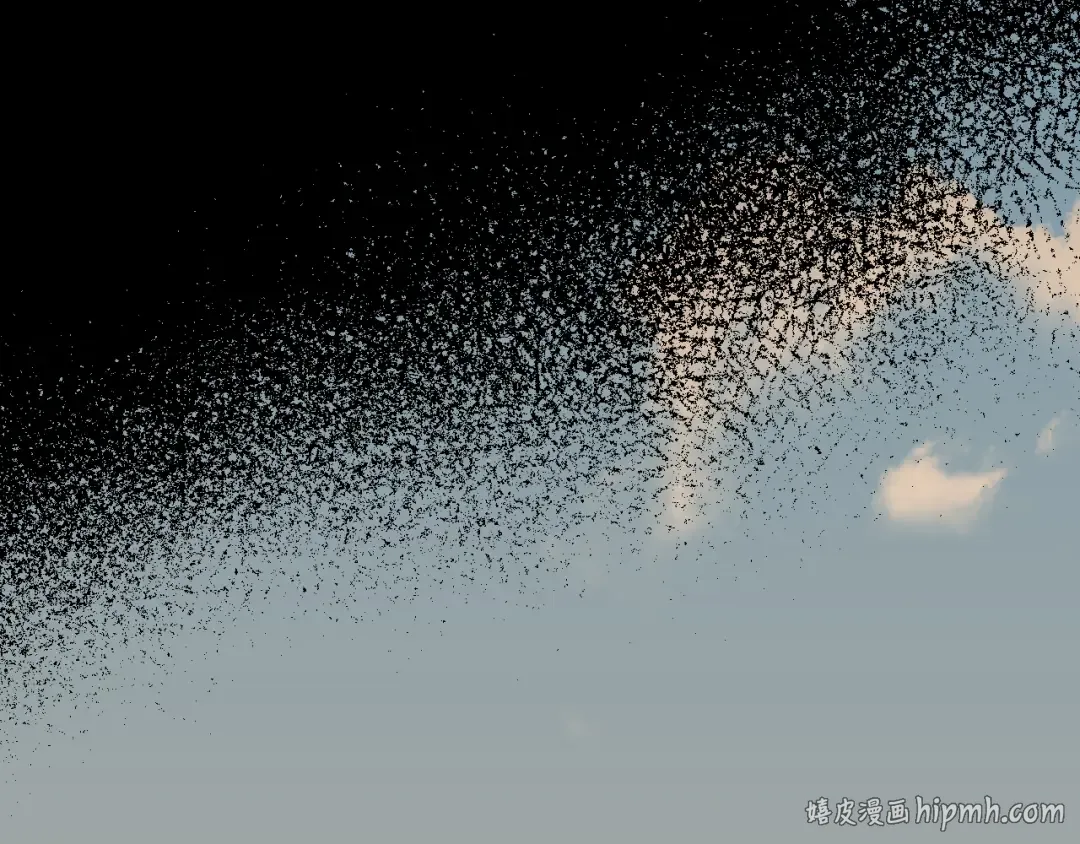 第213页