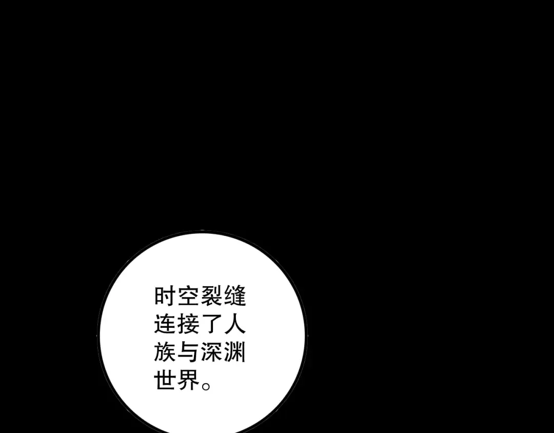 第204页