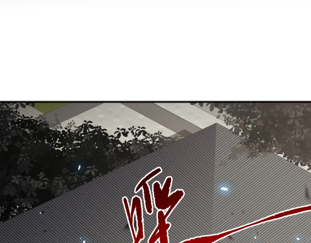 第246页