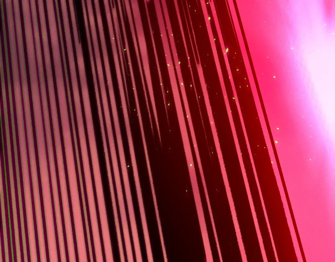 第396页
